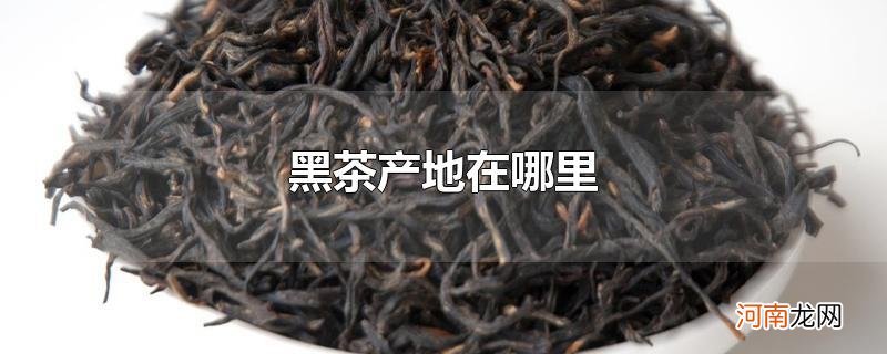 黑茶产地在哪里