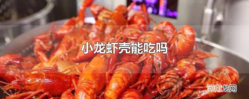 小龙虾壳能吃吗