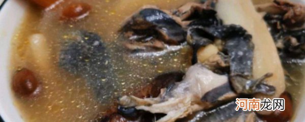 乌鸡白果汤的做法 乌鸡白果汤的做法介绍