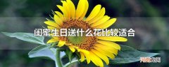 闺蜜生日送什么花比较适合