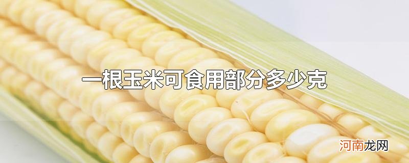 一根玉米可食用部分多少克