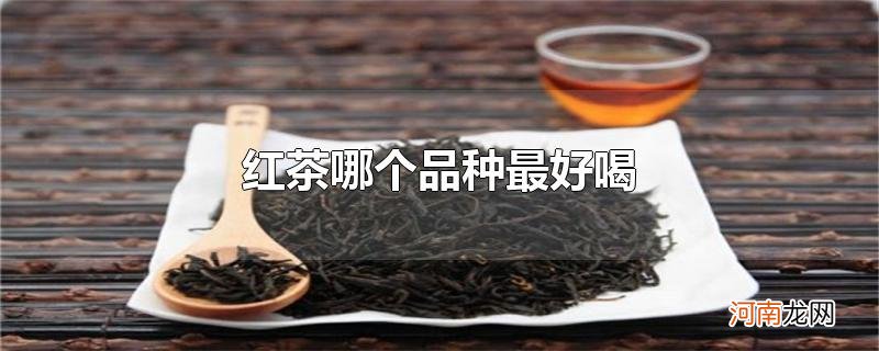 红茶哪个品种最好喝