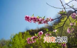 春季护肤重点知识优质