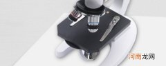 显微镜小光圈的作用 显微镜大光圈和小光圈的区别