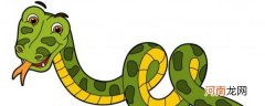中国最长见的蛇有哪些 在中国多见的蛇有那些