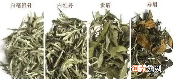 白茶茶色为什么是白色？