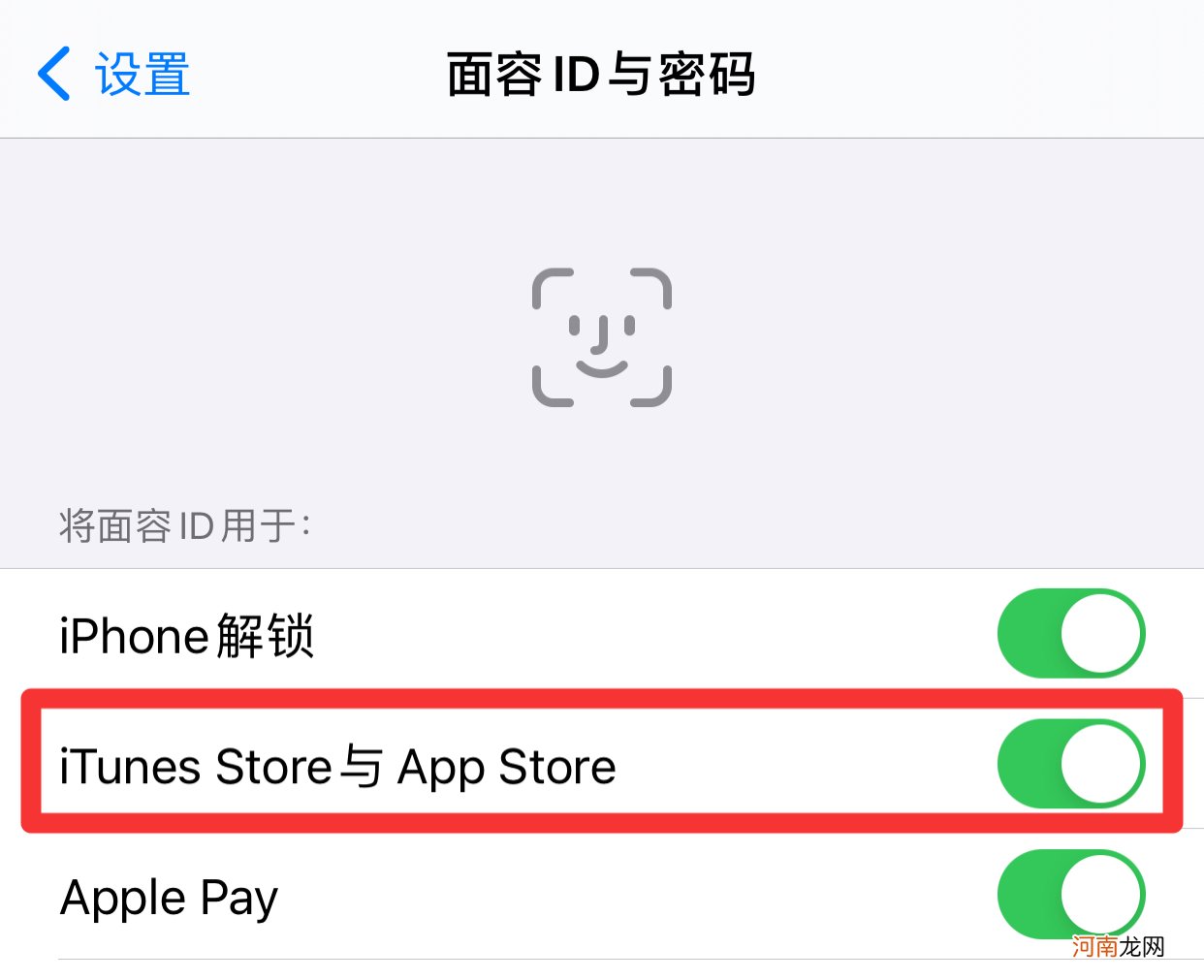 appstore怎么开启面容下载优质