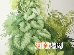 一根树枝改变命运