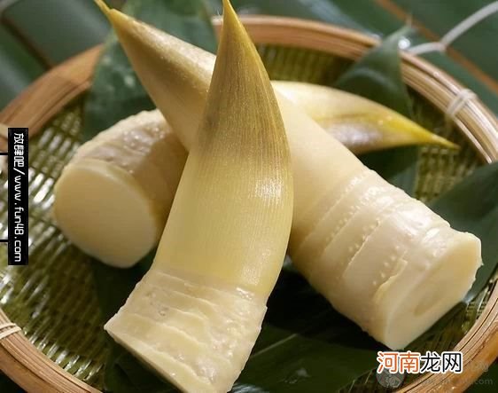 能化痰止咳的10种食物