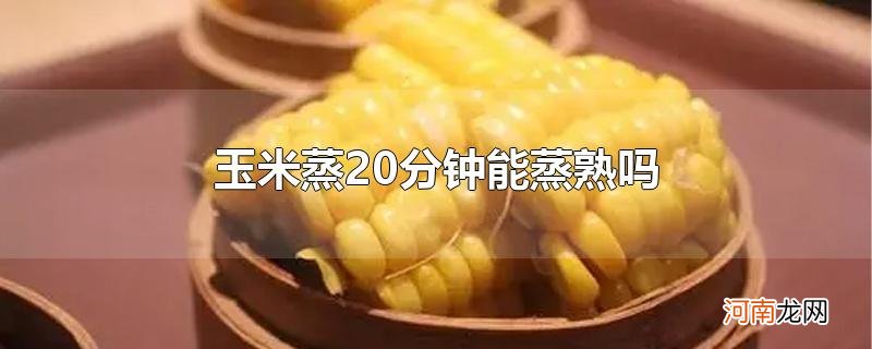 玉米蒸20分钟能蒸熟吗优质