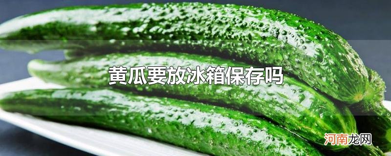 黄瓜要放冰箱保存吗优质