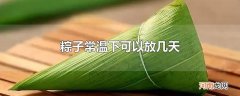 粽子常温下可以放几天优质