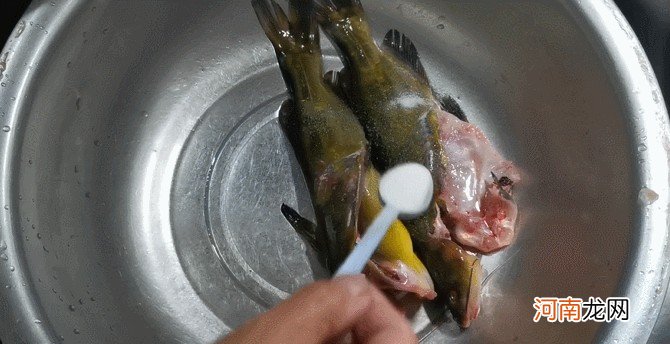 昂刺鱼怎么做最鲜美 昂刺鱼的做法大全