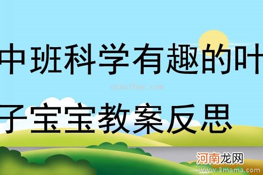 中班主题活动叶子宝宝的聚会教案反思