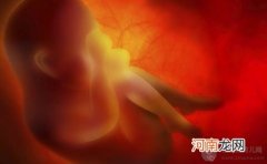 孕期胎儿生长发育 感官发育顺序介绍