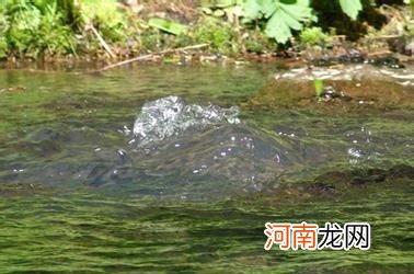 备孕男宝喝水很重要 备孕喝什么生男孩