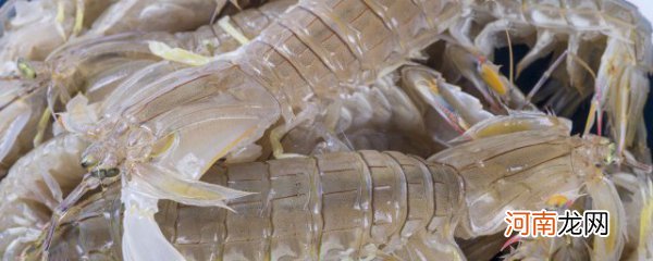 水煮皮皮虾做法 如何做水煮皮皮虾