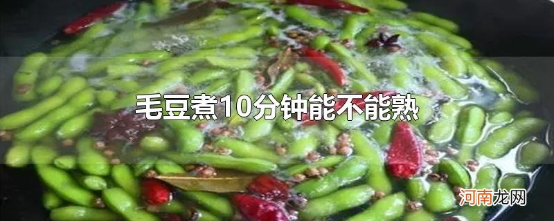 毛豆煮10分钟能不能熟优质