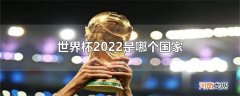 世界杯2022是哪个国家优质