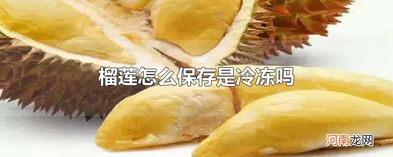 榴莲怎么保存是冷冻吗优质