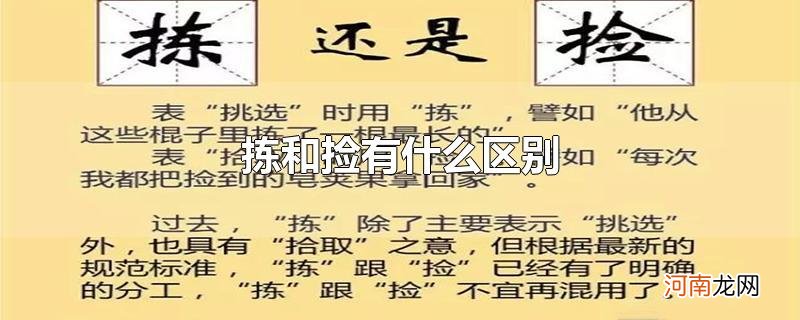 拣和捡有什么区别优质