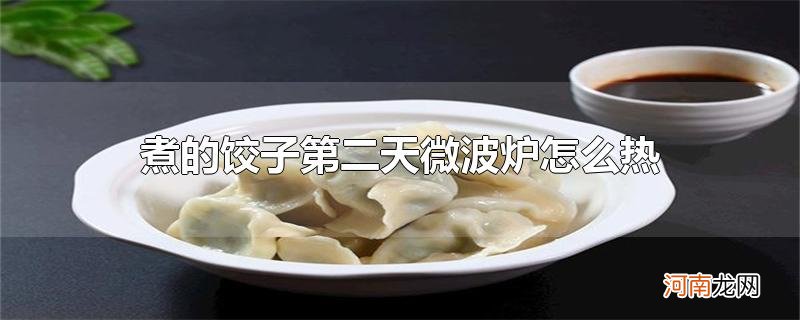 煮的饺子第二天微波炉怎么热优质