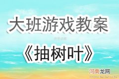 中班游戏活动教案：树叶飘飘教案