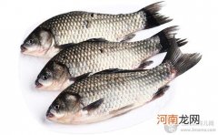 孕期食谱 鱼丝烩粟米