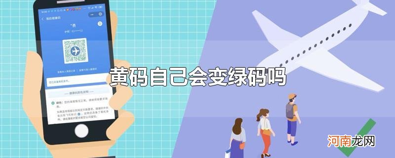 黄码自己会变绿码吗优质