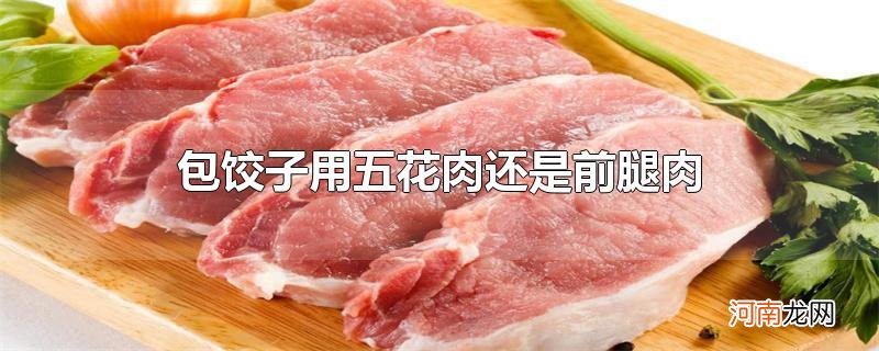 包饺子用五花肉还是前腿肉优质