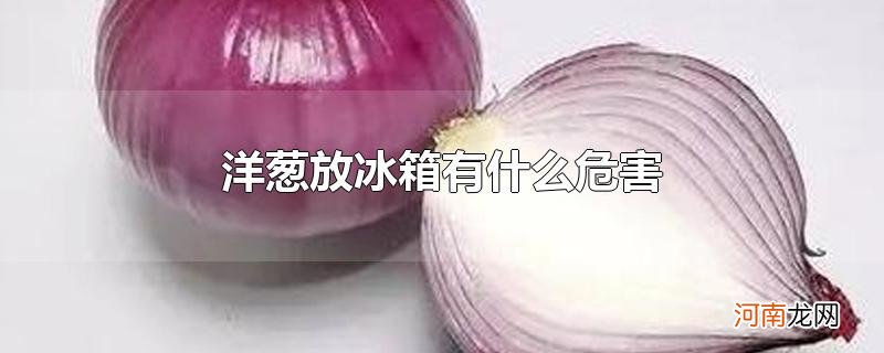 洋葱放冰箱有什么危害优质