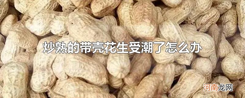 炒熟的带壳花生受潮了怎么办优质