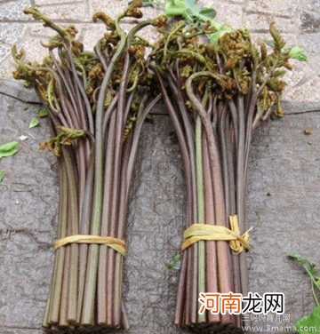 野菜不即是绿色食品