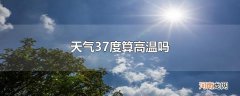 天气37度算高温吗优质