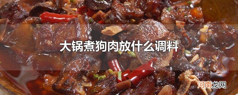 大锅煮狗肉放什么调料优质