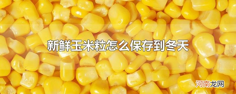 新鲜玉米粒怎么保存到冬天优质