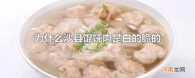 为什么沙县馄饨肉是白的脆的优质