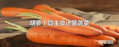胡萝卜算主食还是蔬菜优质