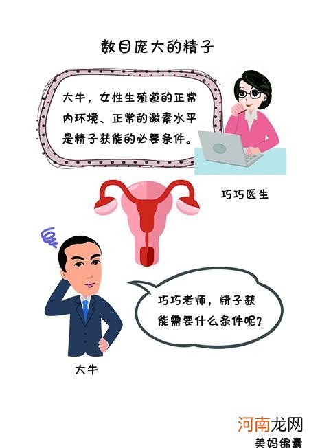 精子获能需要什么条件呢 一般精子形成需要多长时间