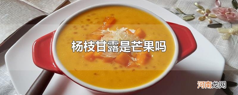 杨枝甘露是芒果吗优质