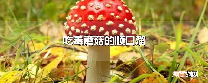 吃毒蘑菇的顺口溜优质