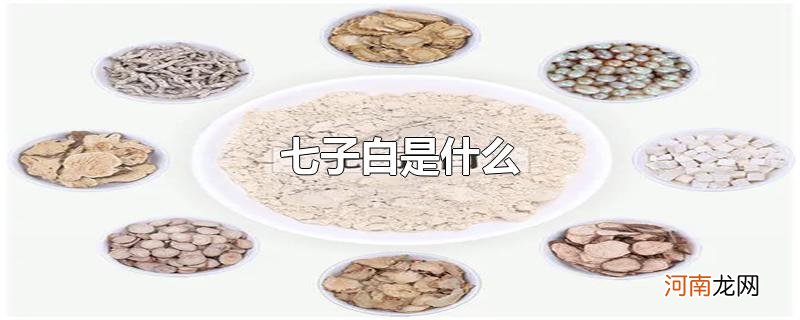 七子白是什么优质