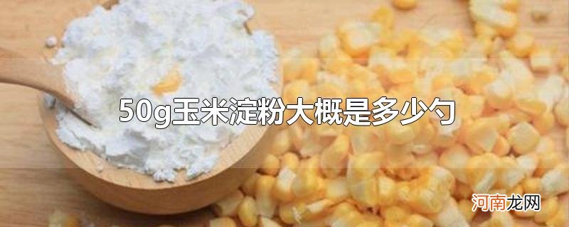 50g玉米淀粉大概是多少勺优质