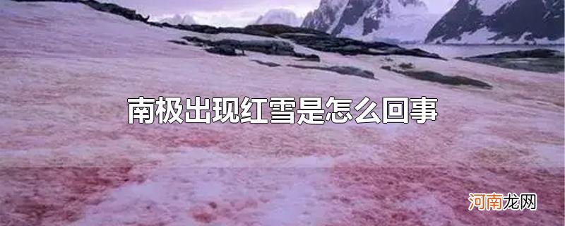 南极出现红雪是怎么回事优质