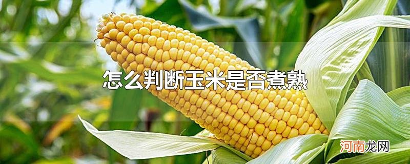 怎么判断玉米是否煮熟优质