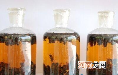 治疗阳痿早泄的药酒 治疗阳痿早泄可选四种药酒