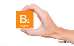 如何补充维生素B2 什么是维生素B2