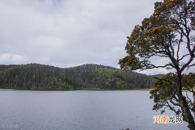 阴囊潮湿吃什么药呢 年纪轻轻阴囊潮湿一泻千里