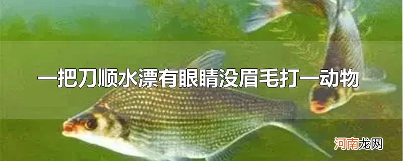 一把刀顺水漂有眼睛没眉毛打一动物优质