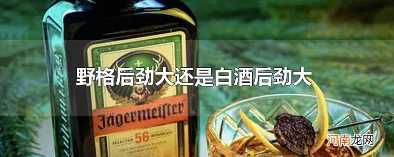 野格后劲大还是白酒后劲大优质